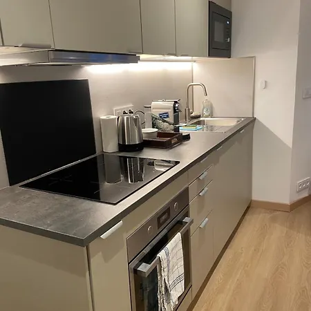 New Fully Equipped With Parking Space Apartment